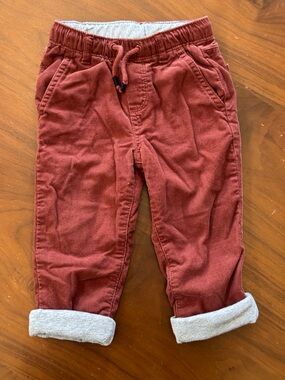 Gymboree Rust Red Corduroy Drawstring Waist Pants with Gray Lining